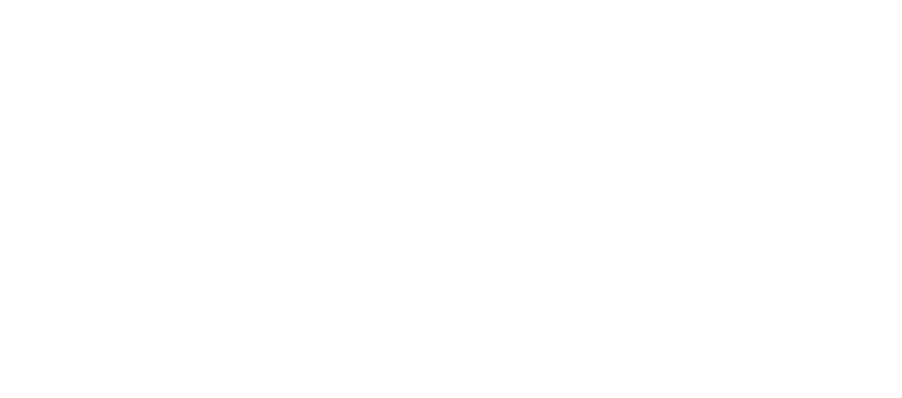 people icon
